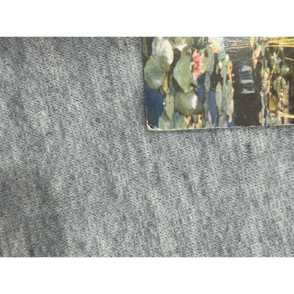 Postcard Lily Pond and Pavilion in Stanley Park Vancouver BC Canada M11 - Picture 3 of 7